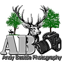 Photography by Andy Beattie