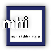 Photography by Martin Holden