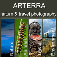 Photography by Arterra