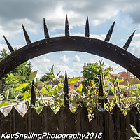 Photography by kevin snelling