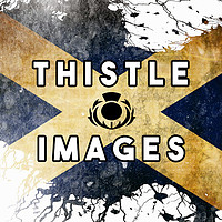Thistle Images