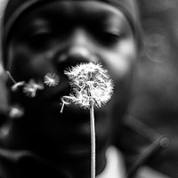 Photography by Milton Cogheil