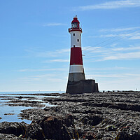 Photography by Paul Daniell