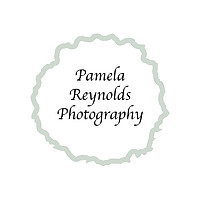 Photography by Pamela Reynolds