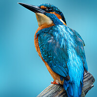Photography by Chris Palmer