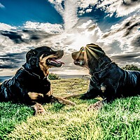 Photography by Stuart Owen