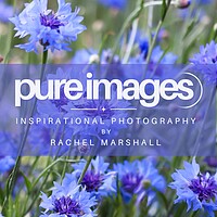 Photography by Pure Images