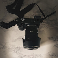 Photography by Daniel Widdowson