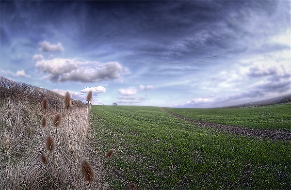 West Malling landscape Picture Board by Jonathan Pankhurst