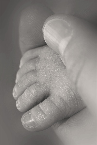 Baby foot in hand Picture Board by Jonathan Pankhurst