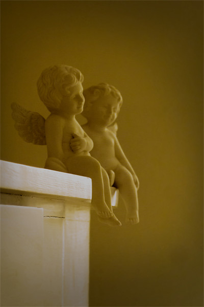 Cherubs in sepia Picture Board by Jonathan Pankhurst