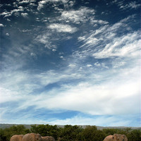 Buy canvas prints of Untamed Beauty of African Elephants by Jonathan Pankhurst
