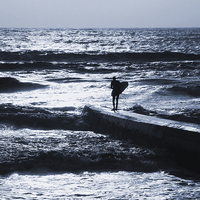 Buy canvas prints of Shanklin Surfer by Annabelle Ward