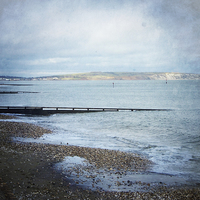 Buy canvas prints of Shanklin Groynes by Annabelle Ward