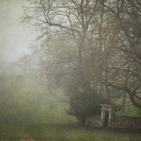 Buy canvas prints of Misty Morning in Wroxall by Annabelle Ward
