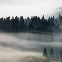 Buy canvas prints of Morning fog flow by Sergiu Gabriel Mihu