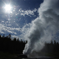 Buy canvas prints of Powerful geyser in Yellowstone by Claudio Del Luongo