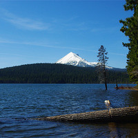 Buy canvas prints of Lake of the Woods with Mount McLoughlin, Oregon by Claudio Del Luongo
