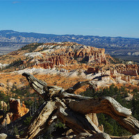 Buy canvas prints of Dry log over Bryce Canyon by Claudio Del Luongo