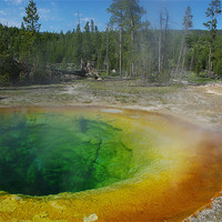 Buy canvas prints of Morning Glory Pool, Yellowstone by Claudio Del Luongo