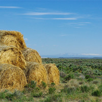 Buy canvas prints of Hay bales in Montana by Claudio Del Luongo