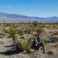 Buy canvas prints of Nevada Desert near Las Vegas by Claudio Del Luongo
