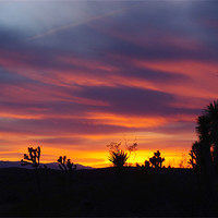 Buy canvas prints of Nevada sunset by Claudio Del Luongo