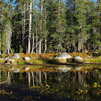 Buy canvas prints of Beautiful pond near Edison Lake, California by Claudio Del Luongo