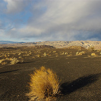 Buy canvas prints of Near Ubehebe Crater, Death Valley by Claudio Del Luongo