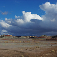 Buy canvas prints of Clouds and blue sky on Petrified Forest by Claudio Del Luongo