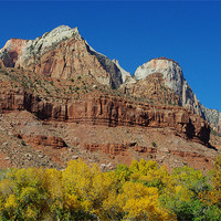 Buy canvas prints of Autumn colors in Zion, Utah by Claudio Del Luongo