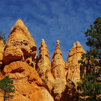 Buy canvas prints of Rock towers, Bryce Canyon, Utah by Claudio Del Luongo