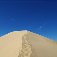 Buy canvas prints of Mojave Desert Dune, California by Claudio Del Luongo