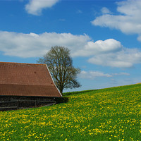 Buy canvas prints of Spring colours in Bavaria by Claudio Del Luongo