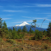 Buy canvas prints of Mount McLoughlin, Oregon by Claudio Del Luongo