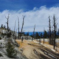 Buy canvas prints of Mammoth Terraces, Yellowstone by Claudio Del Luongo