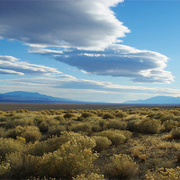 Buy canvas prints of High desert impression, Nevada by Claudio Del Luongo