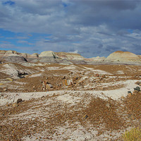 Buy canvas prints of Petrified Forest National Park, Arizona by Claudio Del Luongo