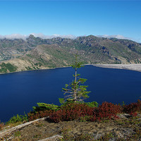 Buy canvas prints of Lonely tree on Spirit Lake, Washington by Claudio Del Luongo