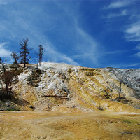 Buy canvas prints of Wild Yellowstone , Wyoming by Claudio Del Luongo