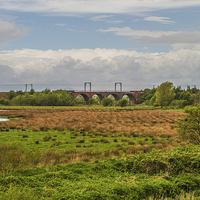 Buy canvas prints of Bogside Nature Reserve by Chris Archer