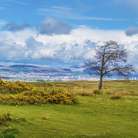 Buy canvas prints of  Campsie Hills from Gleniffer Braes by Chris Archer