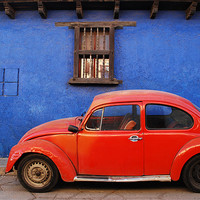 Buy canvas prints of Beetle in Mexico by Eva Lemonenko