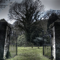 Buy canvas prints of Cemetery Gates by Steve Duckworth