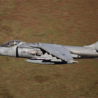 Buy canvas prints of Harrier GR9A Low Level by Philip Berry