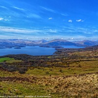 Buy canvas prints of Loch Lomond viewed from Conic Hill by yvonne & paul carroll