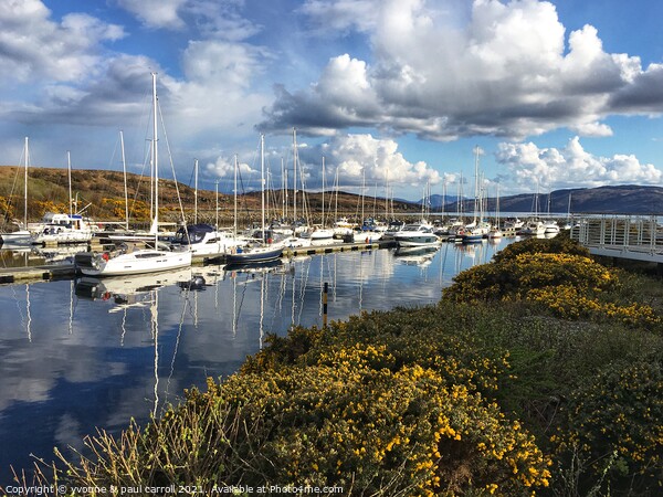 Portavadie Marina in Spring Picture Board by yvonne & paul carroll