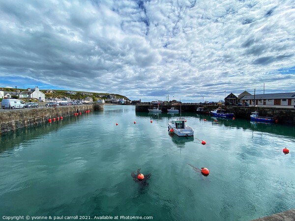 Portpatrick harbour Picture Board by yvonne & paul carroll