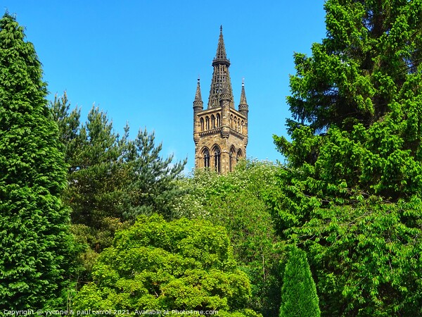 Glasgow University tower rising above the trees in Kelvingrove Park Picture Board by yvonne & paul carroll