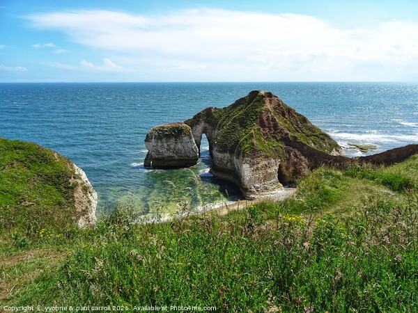 The Drinking Dinosaur at Flamborough Head Picture Board by yvonne & paul carroll